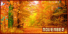 Month: November